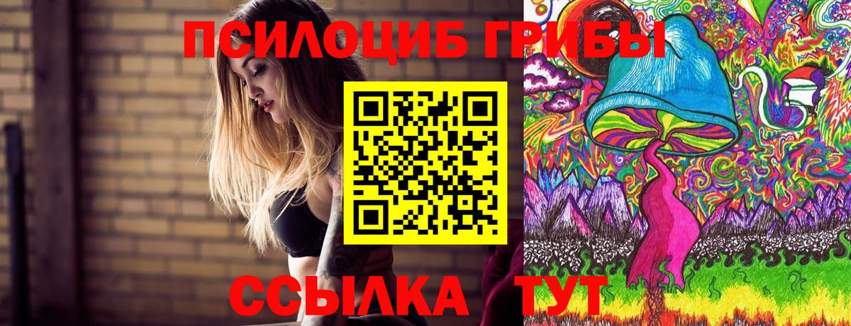 Коломна  Галлюциногенные грибы мухоморы  Галлюциногенные грибы Magic Shrooms  где найти наркотики  Вход с VPN 