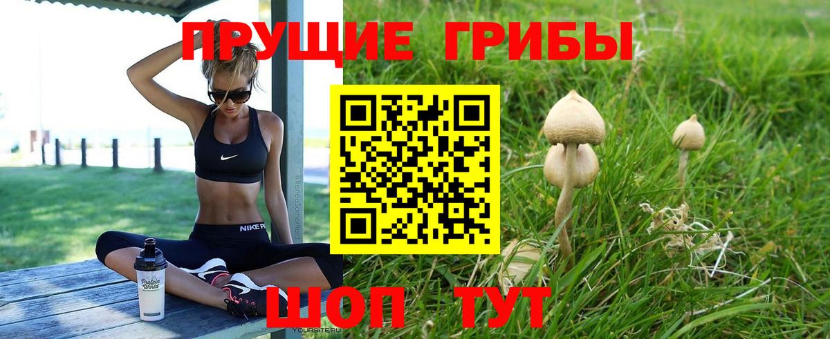 Галлюциногенные грибы Cubensis Коломна